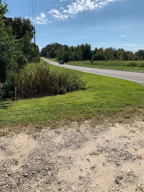0 Blanton Road Dade City, FL 33523 - Photo 1 of 1 a view of a field with an trees