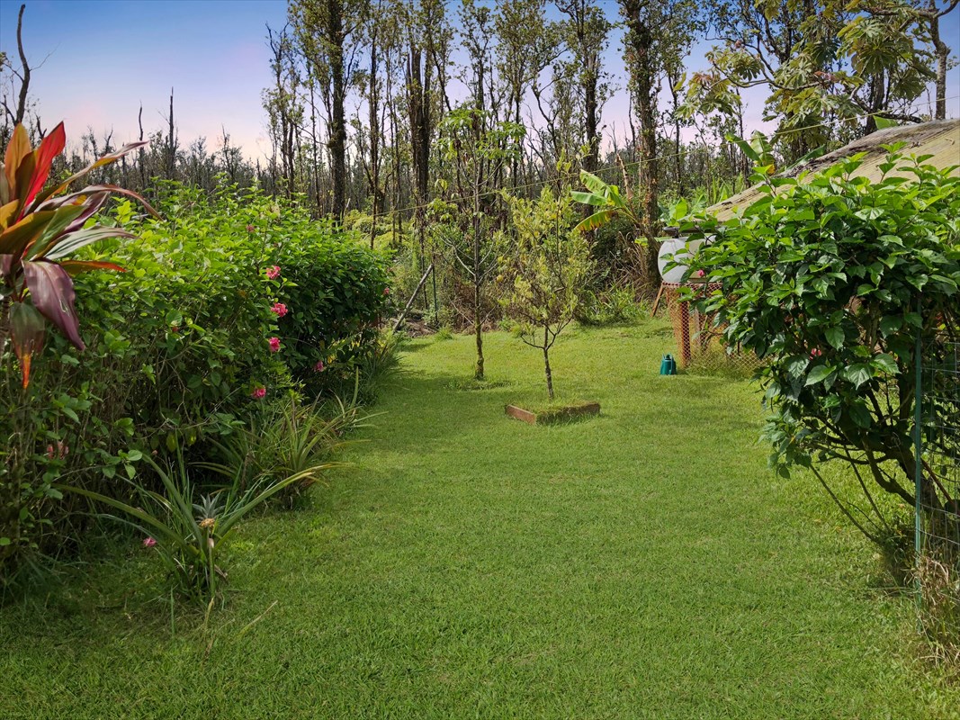 11-2277 Ohialani Road Mountain View, HI 96771 - Photo 5 of 23 Gallery Image 5