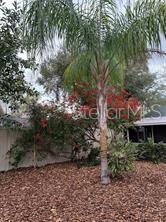525 Bay Street Dunedin, FL 34698 - Photo 24 of 24