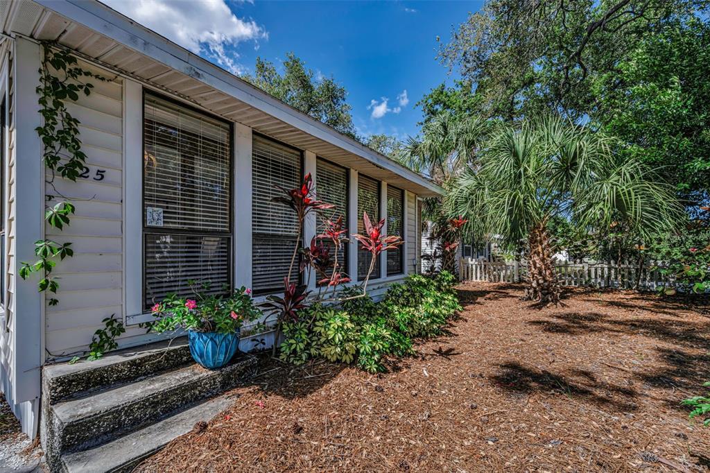525 Bay Street Dunedin, FL 34698 - Photo 33 of 38 a view of a house with potted plants