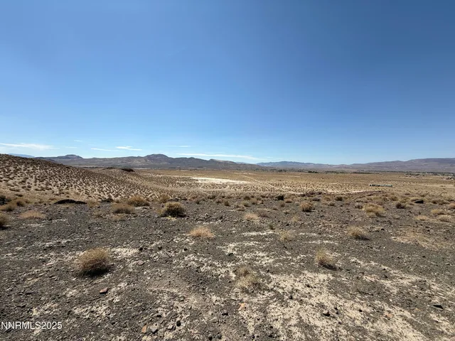 a view of a road from a yard