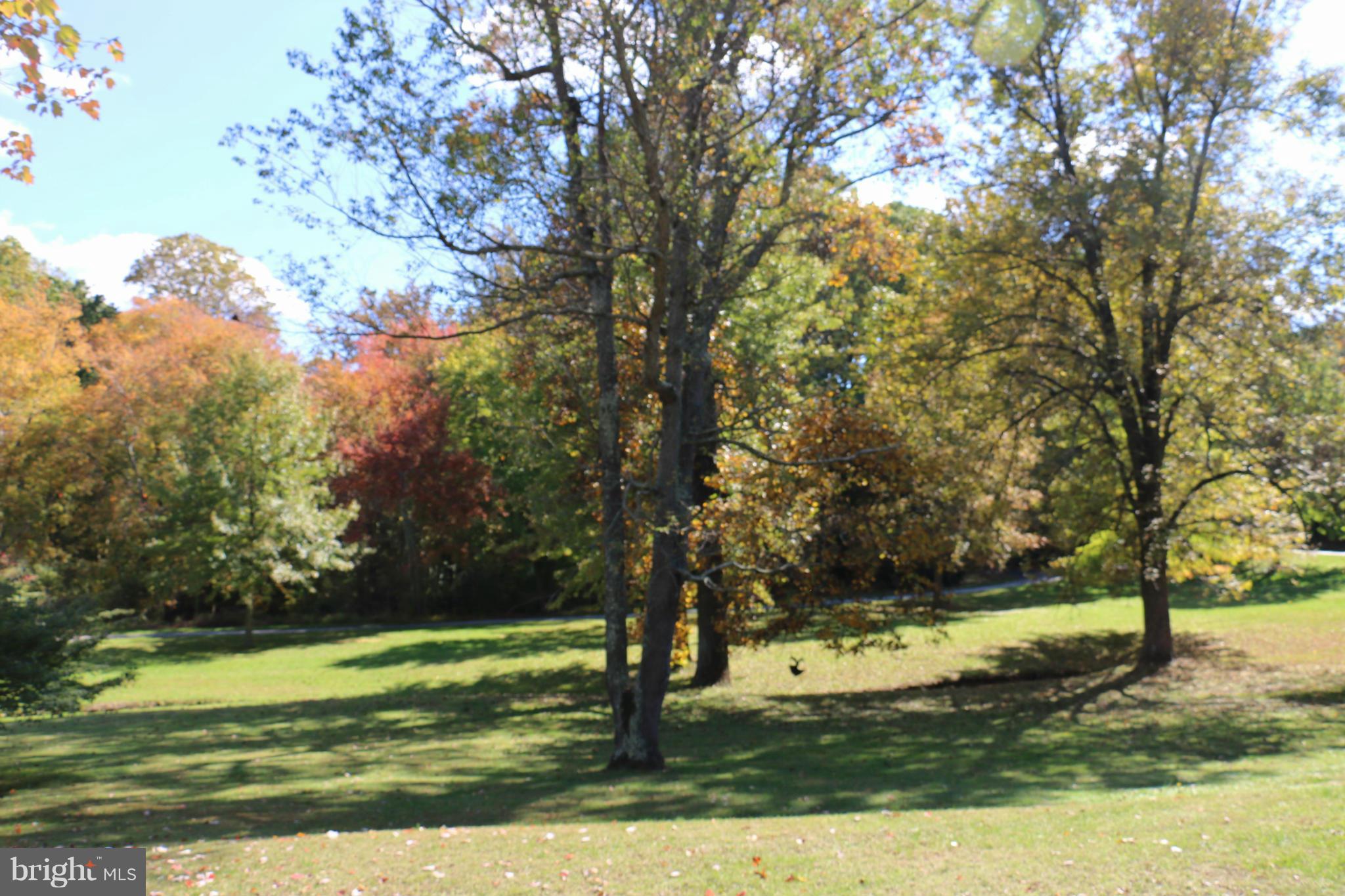 13831 Manor Road Baldwin, MD 21013 - Photo 19 of 20 a view of a yard