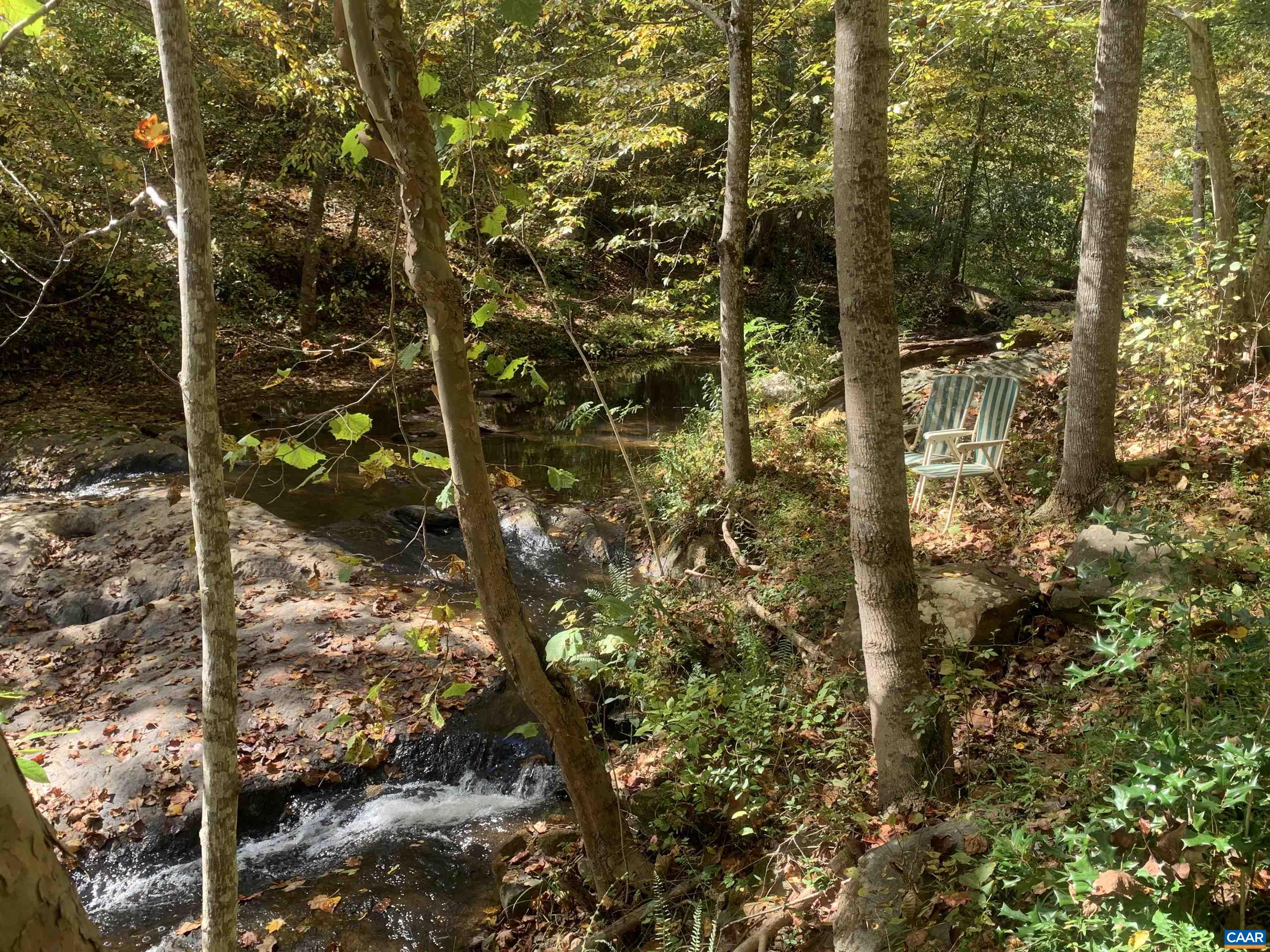 3034 Thrift Road Madison, VA 22727 - Photo 22 of 26