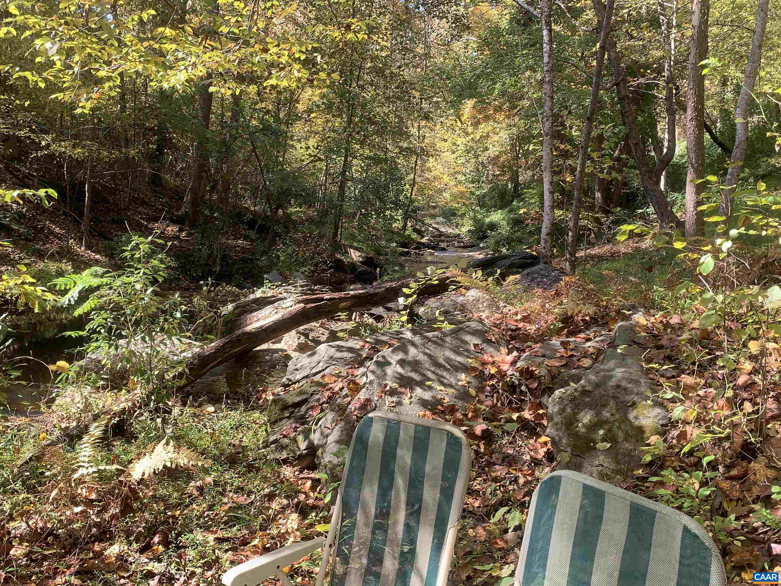 3034 Thrift Road Madison, VA 22727 - Photo 23 of 26 a view of outdoor space and trees