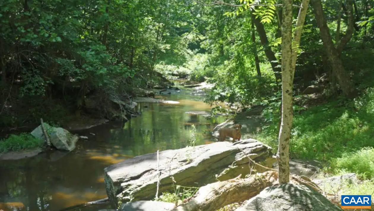 3034 Thrift Road Madison, VA 22727 - Photo 24 of 26 a backyard of a house with a lake view
