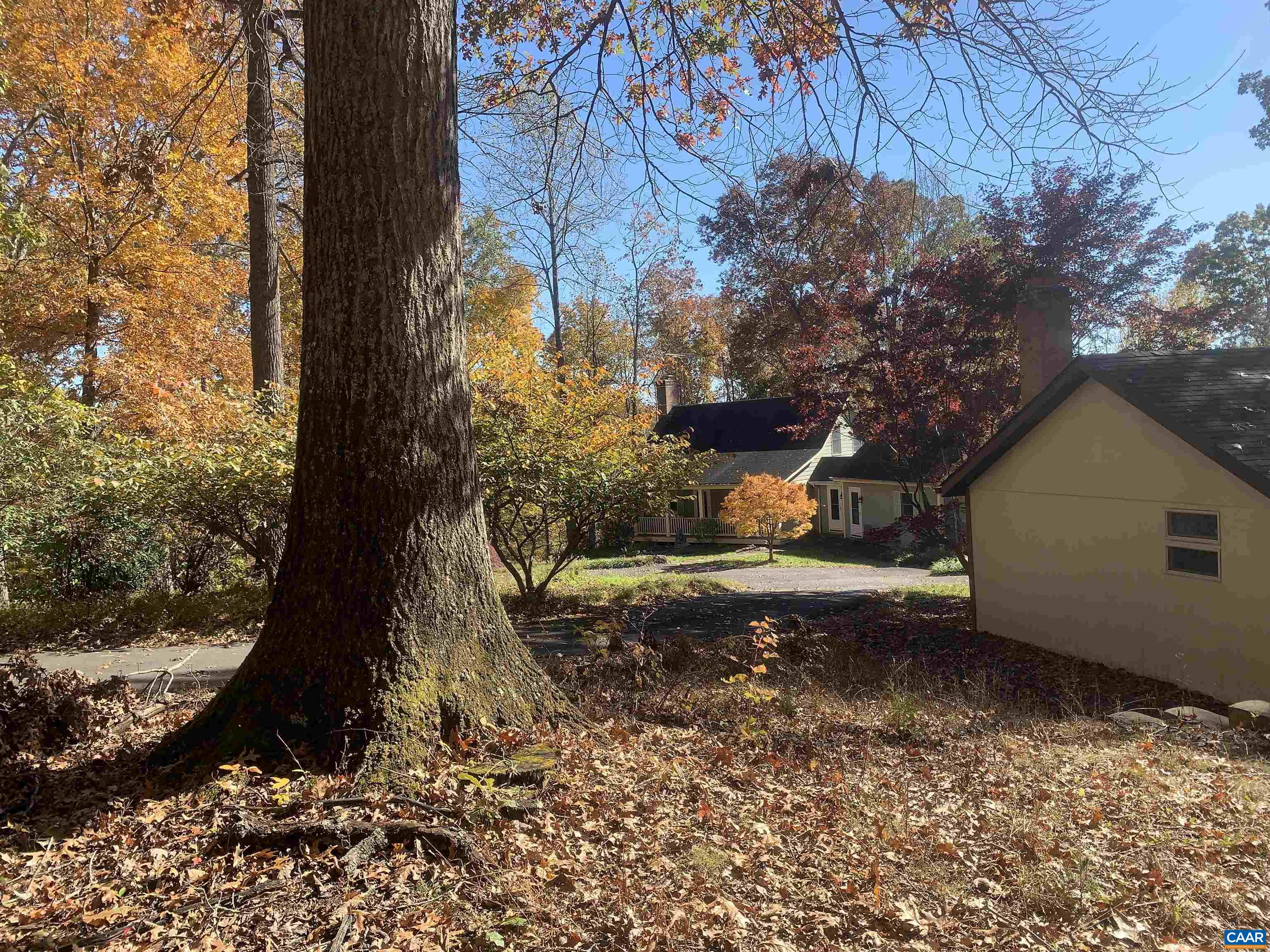 3034 Thrift Road Madison, VA 22727 - Photo 25 of 26 a backyard of a house with a tree