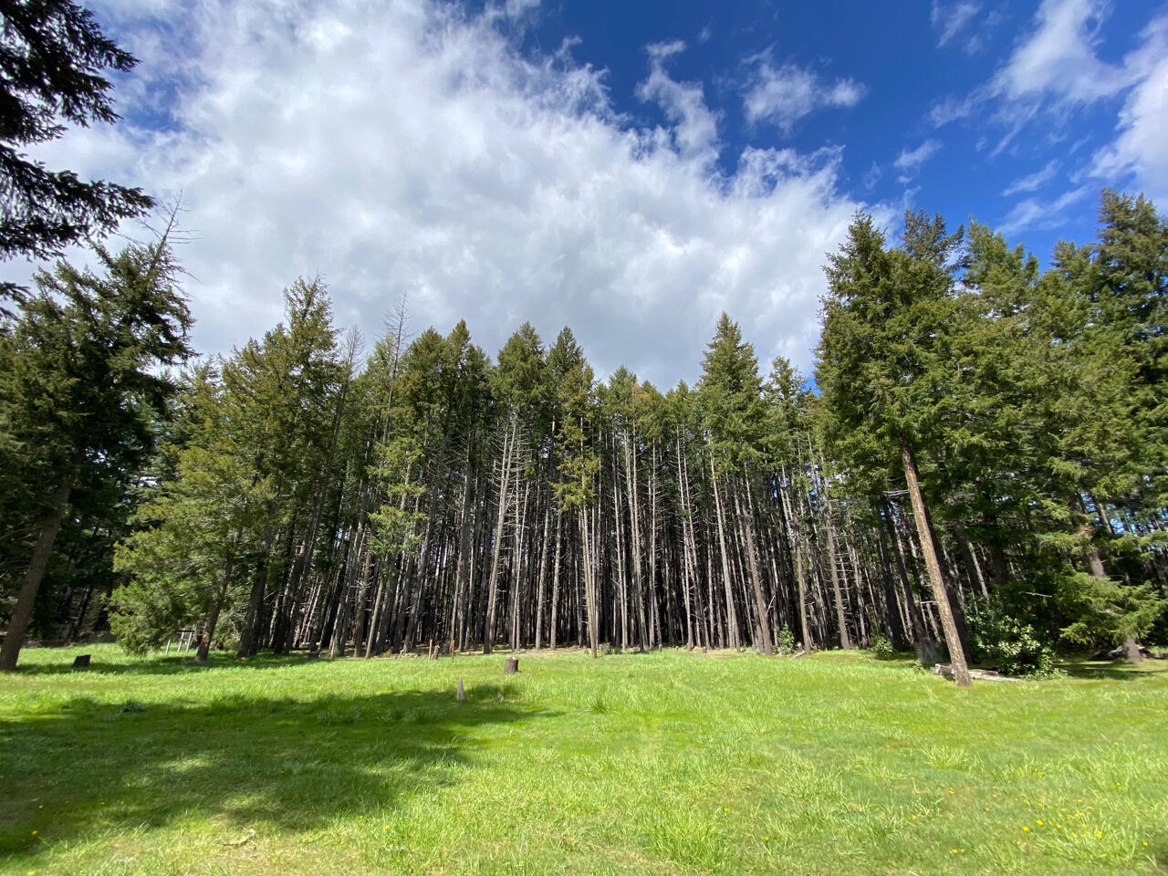 995 Indian Creek Road Selma, OR 97538 - Photo 5 of 24 995 Indian Creek Rd