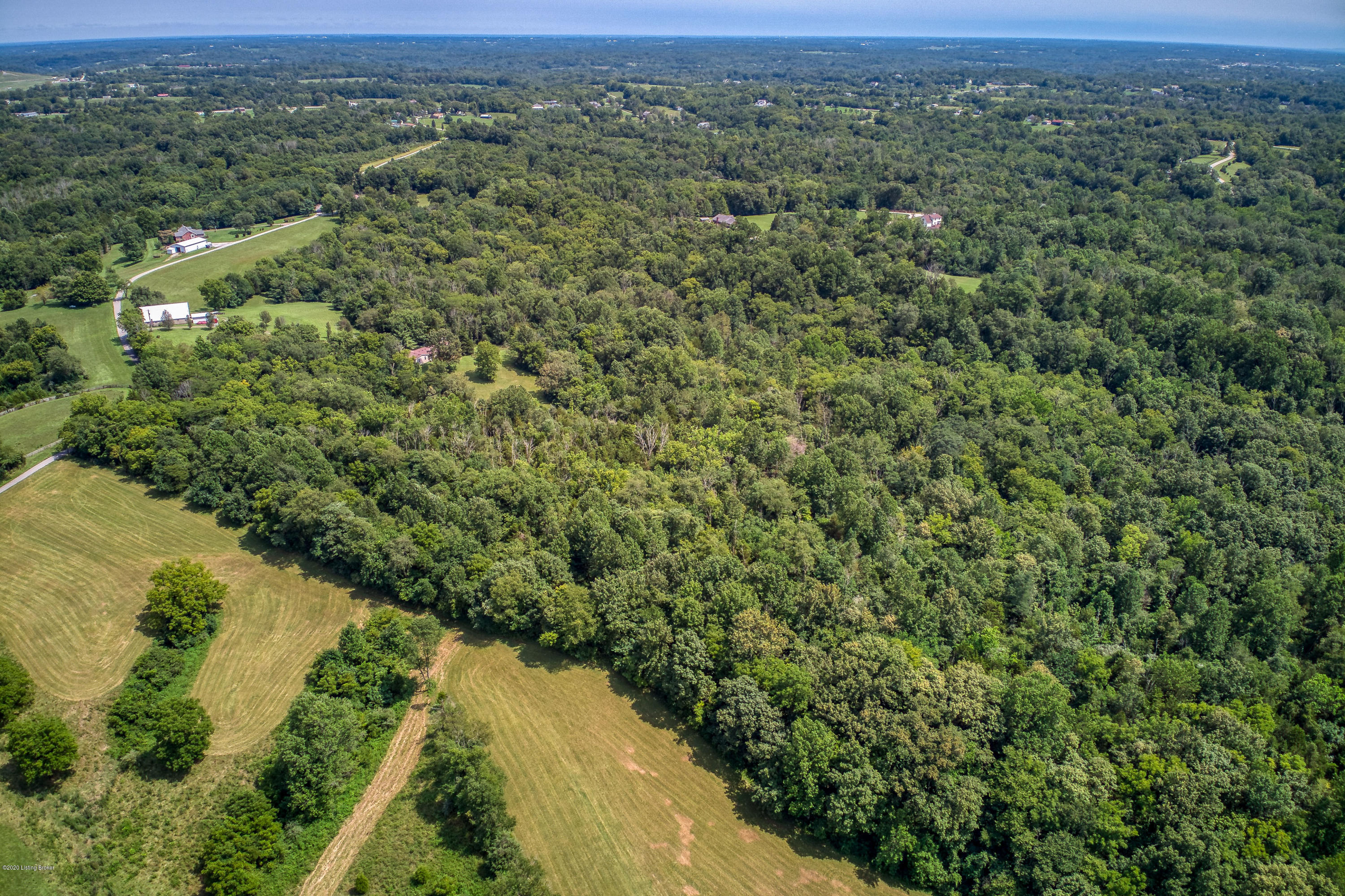 4200 Baker Lane Pendleton, KY 40055 - Photo 5 of 13 Wooded Lot