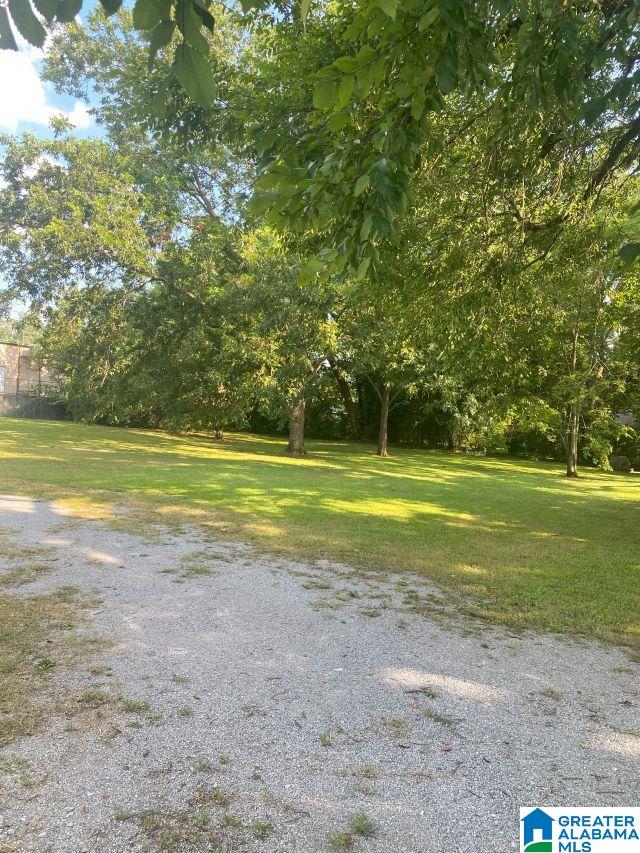 607 12th Avenue Southwest Alabaster, AL 35007 - Photo 18 of 19
