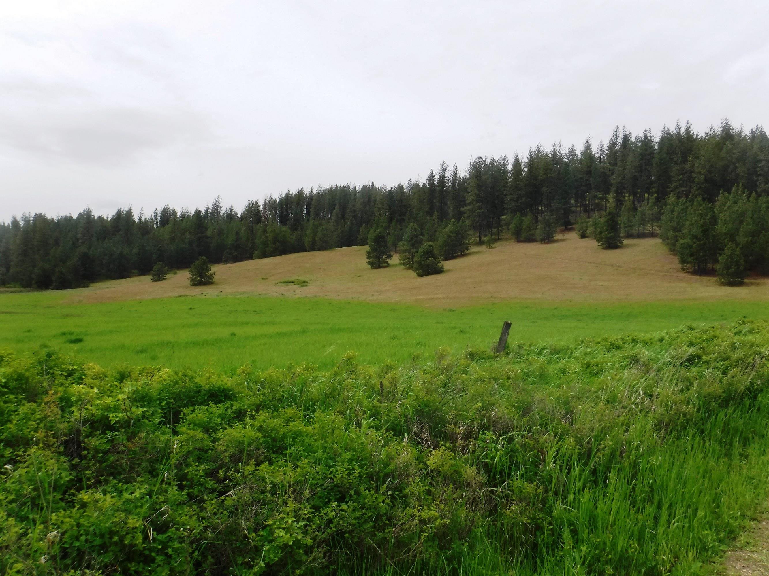 Xx East Woolard Road Colbert, WA 99005 - Photo 4 of 23