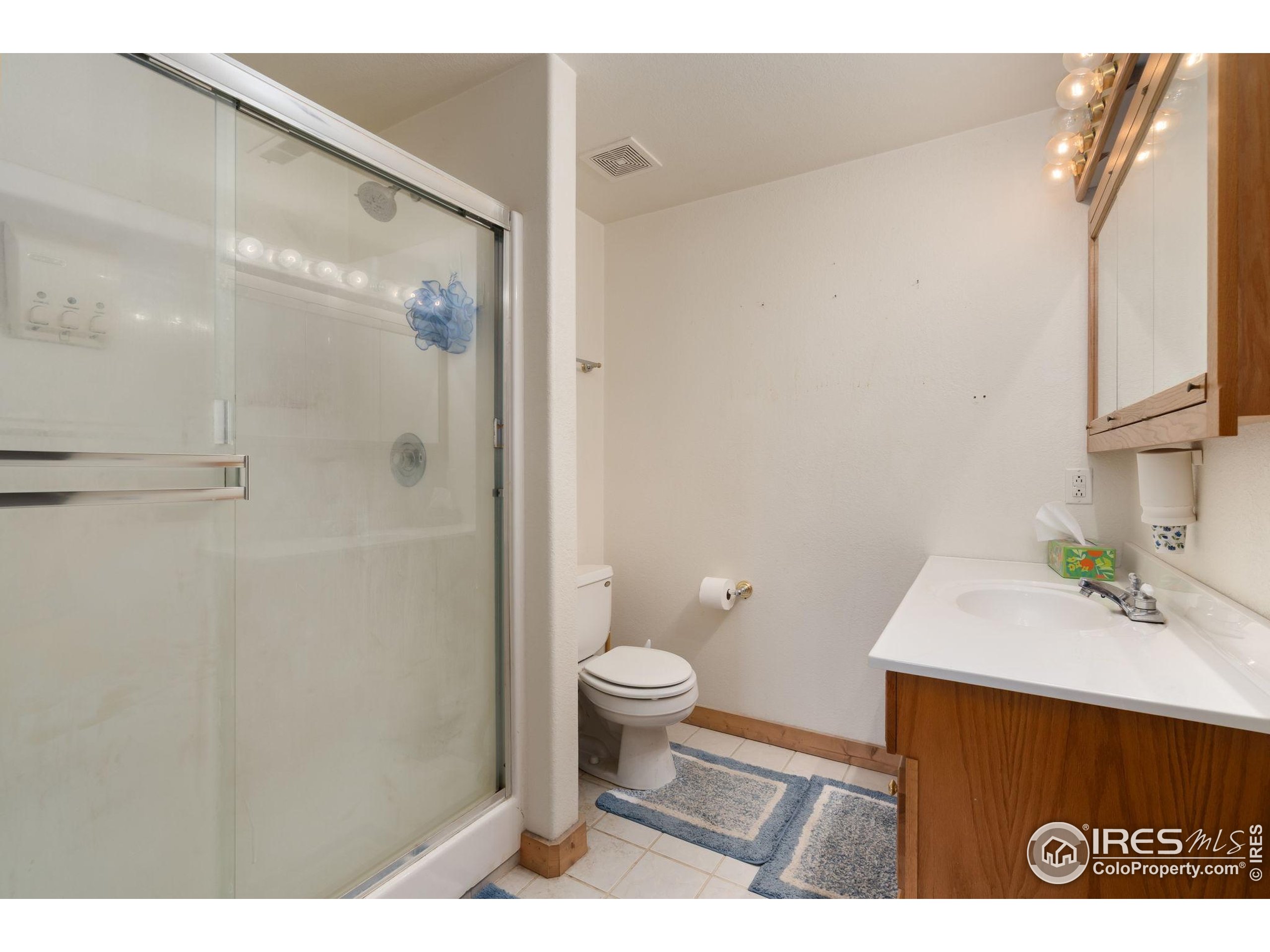 141 Tami Road Red Feather Lakes, CO 80545 - Photo 23 of 49 a bathroom with a sink a toilet and shower