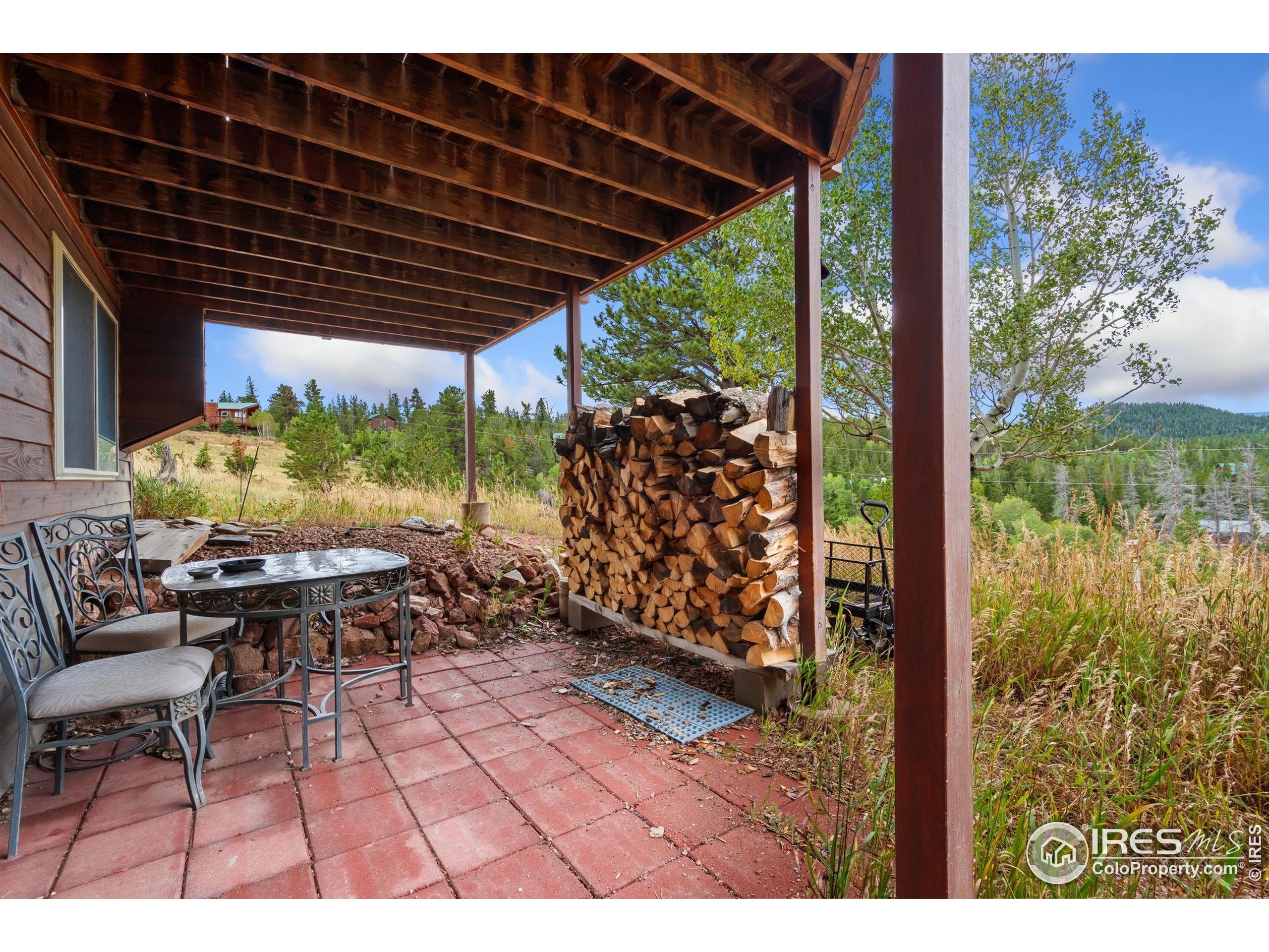 141 Tami Road Red Feather Lakes, CO 80545 - Photo 30 of 49 a view of an outdoor sitting area