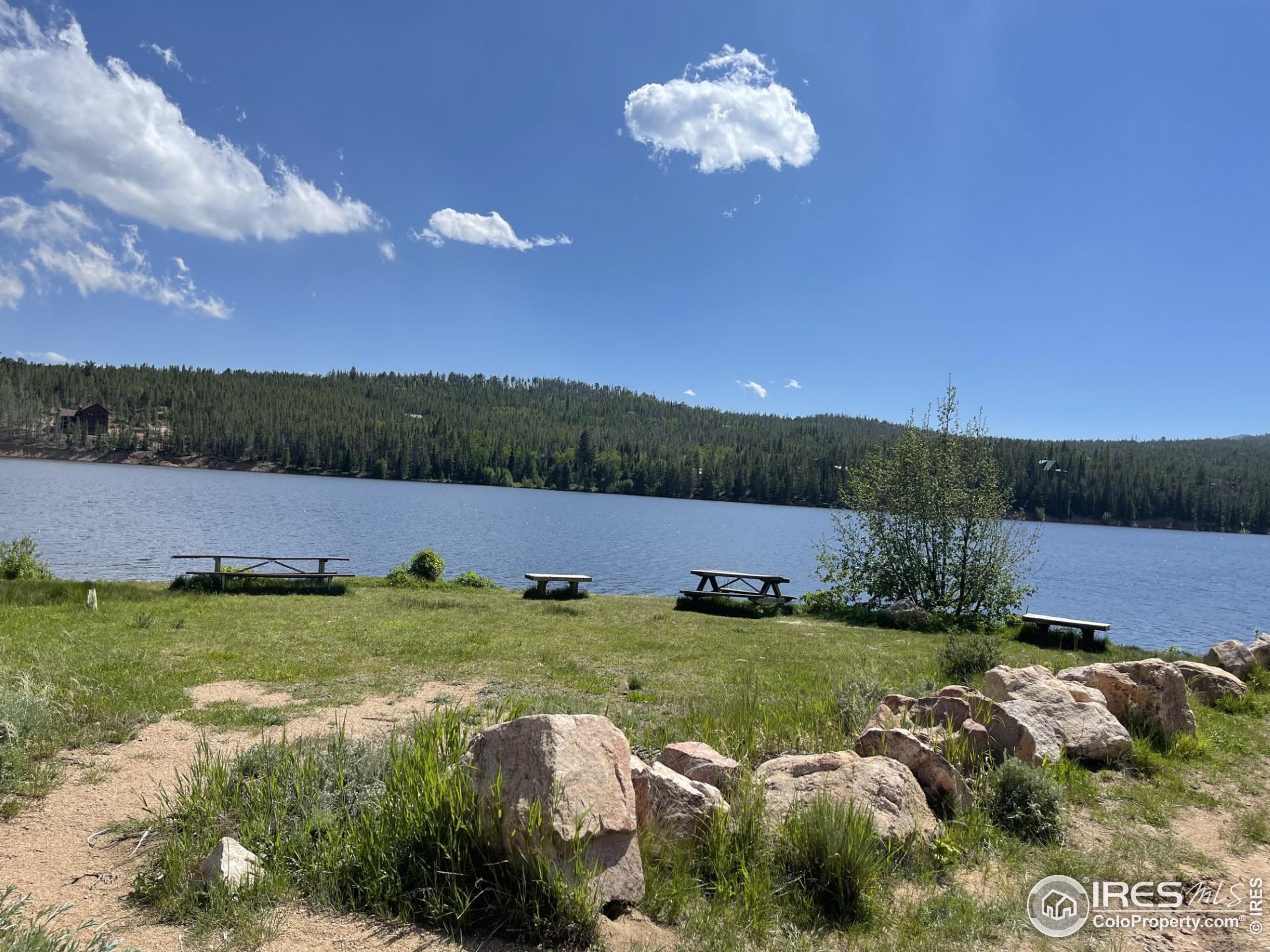 141 Tami Road Red Feather Lakes, CO 80545 - Photo 45 of 49 a view of a lake with a yard