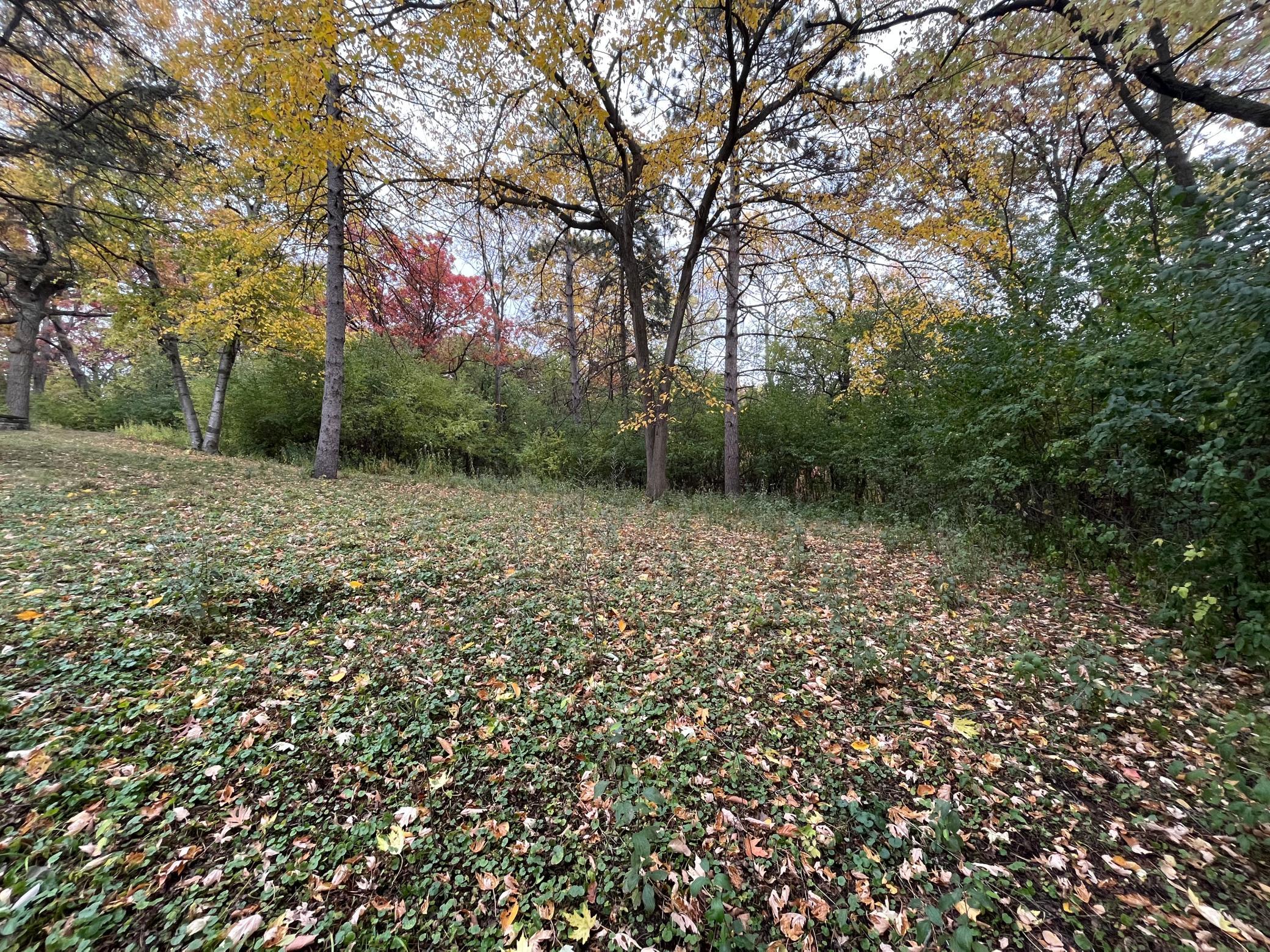 2455 Byrnes Road Minnetonka, MN 55305 - Photo 8 of 18 Gallery Image 8