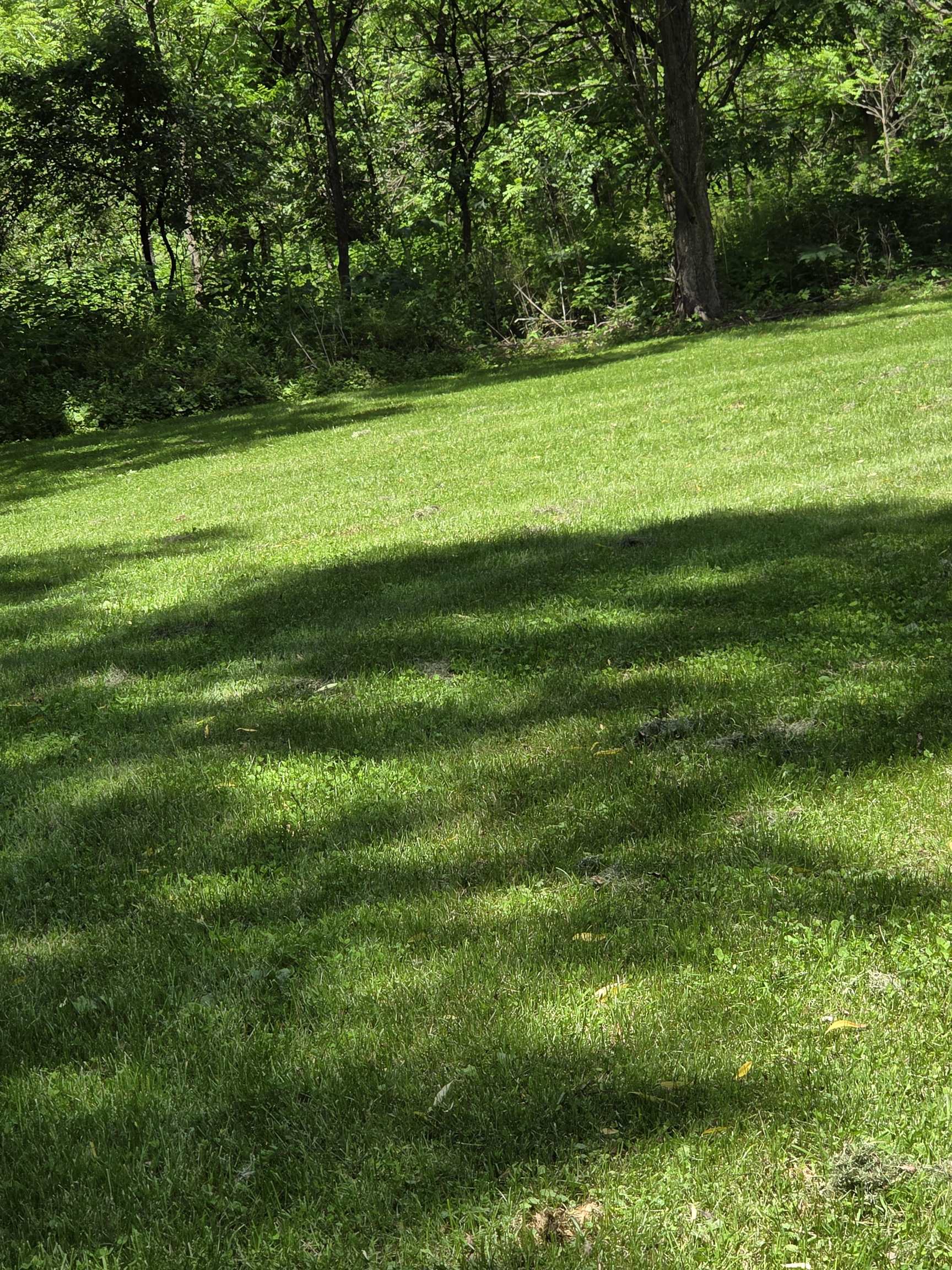 13035 Canyon Falls Road Mount Hope, WI 53816 - Photo 55 of 61