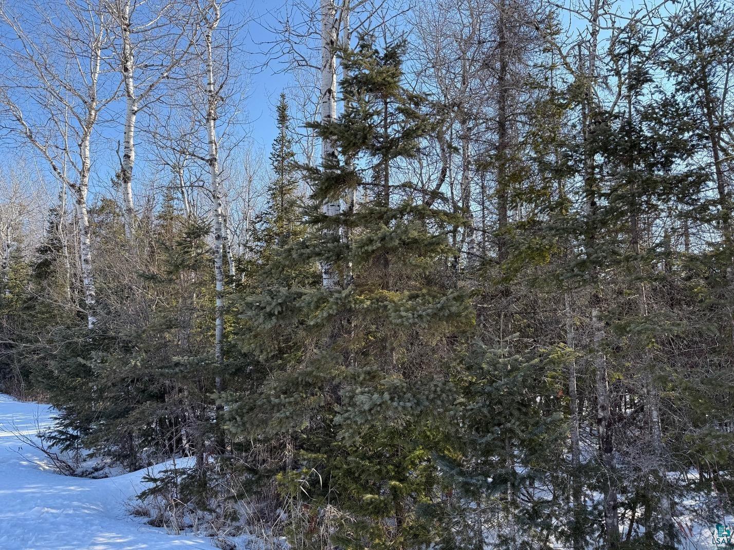 12 Two Harbors Two Harbors, MN 55616 - Photo 11 of 29