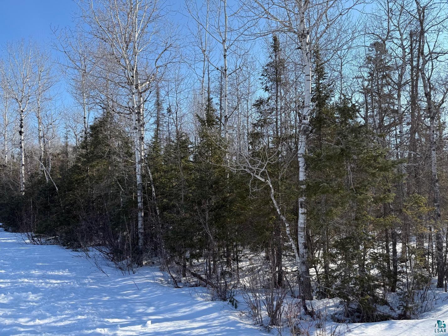 12 Two Harbors Two Harbors, MN 55616 - Photo 12 of 29