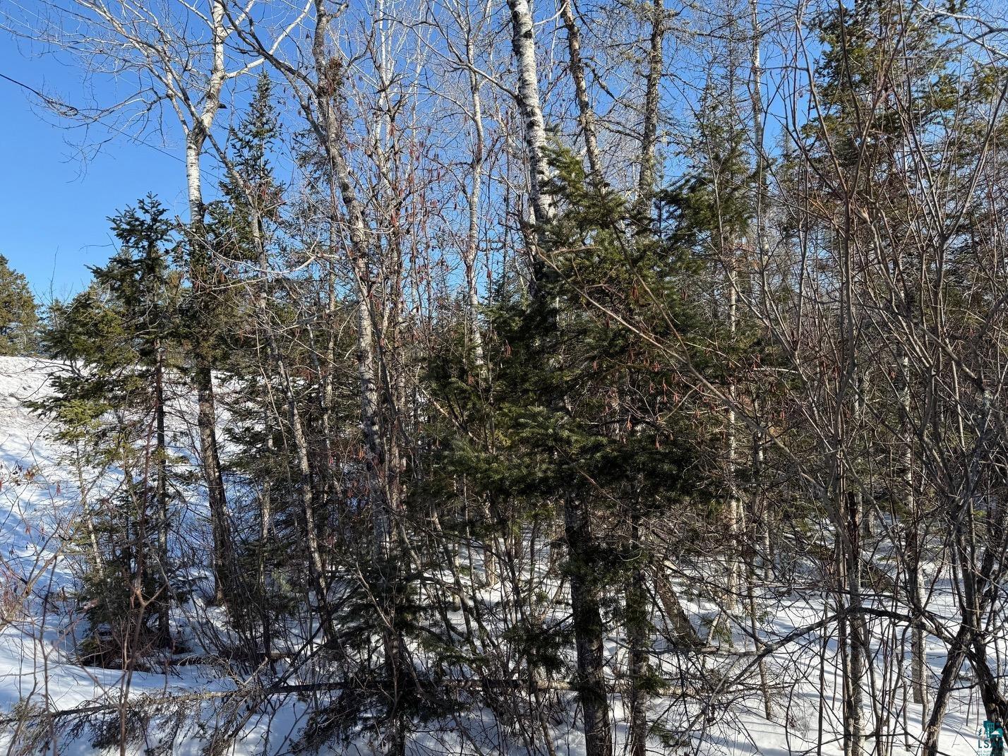 12 Two Harbors Two Harbors, MN 55616 - Photo 14 of 29