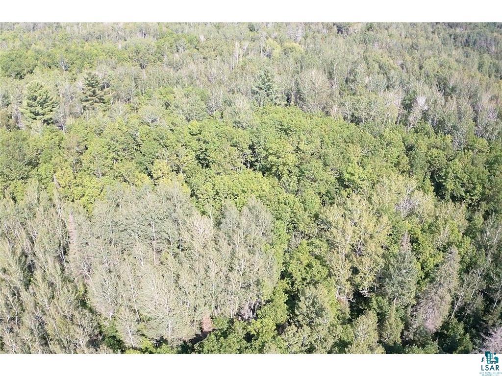 12 Two Harbors Two Harbors, MN 55616 - Photo 29 of 29