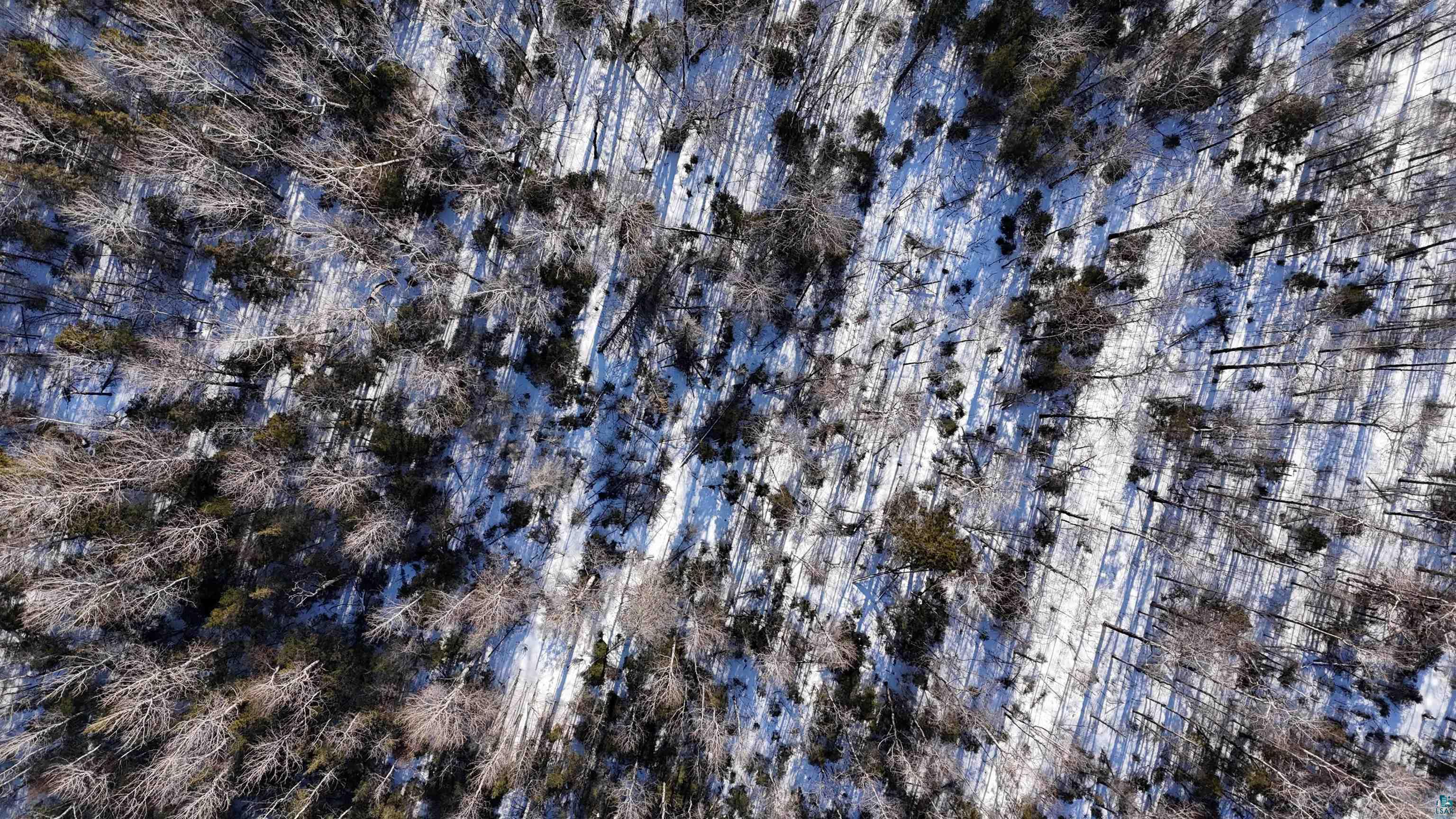 12 Two Harbors Two Harbors, MN 55616 - Photo 8 of 29