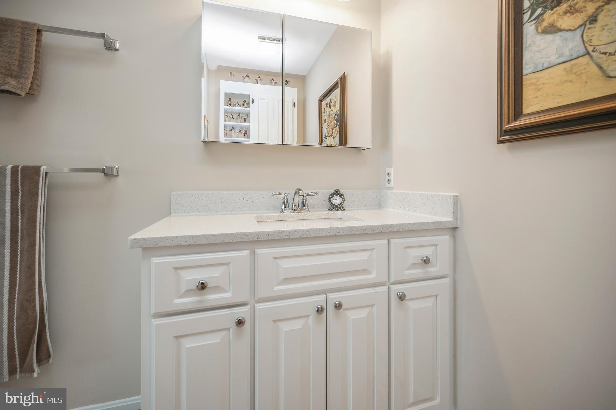 126 Greenspring Road Locust Grove, VA 22508 - Photo 34 of 90 primary bath remodel 2021