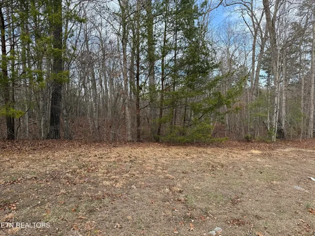 $125,000 | Cliffmont Road, Jamestown, TN 38556