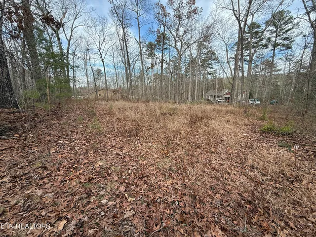 $125,000 | Cliffmont Road, Jamestown, TN 38556