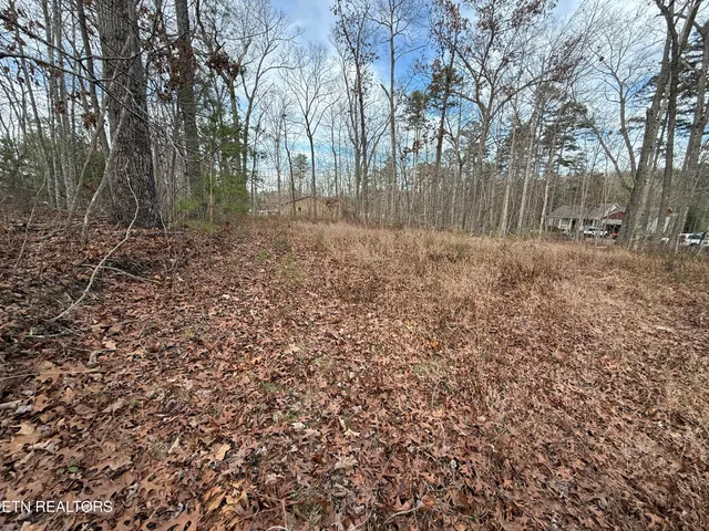 $125,000 | Cliffmont Road, Jamestown, TN 38556