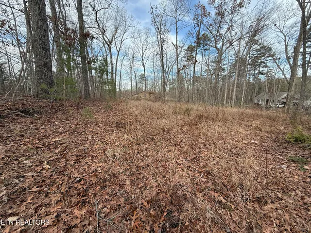 $125,000 | Cliffmont Road, Jamestown, TN 38556