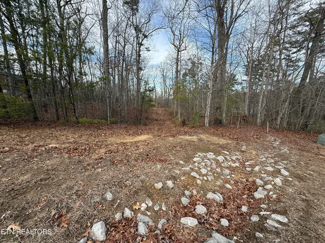 $125,000 | Cliffmont Road, Jamestown, TN 38556