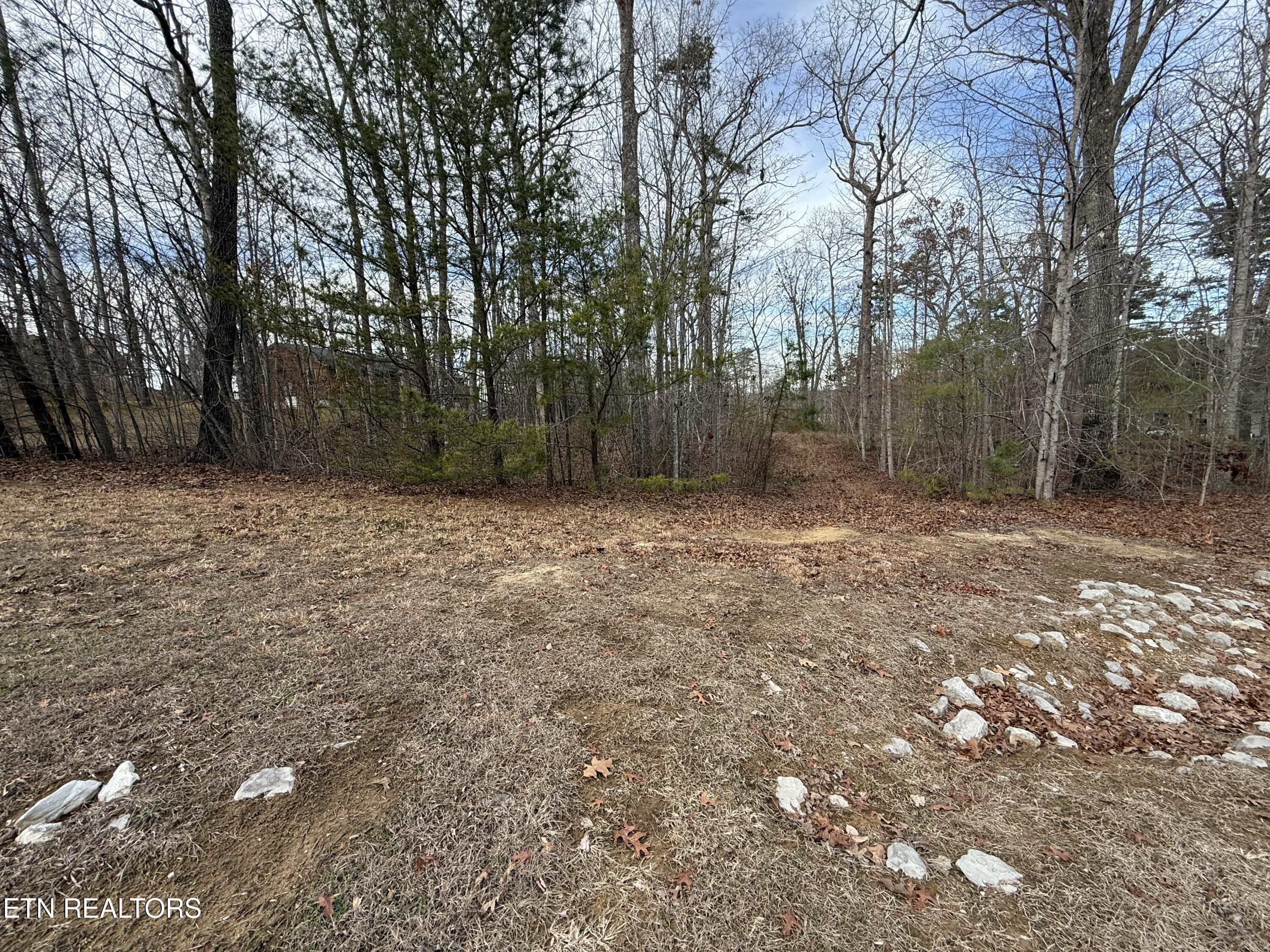 Cliffmont Road Jamestown, TN 38556 - Photo 8 of 8 IMG_2489 3