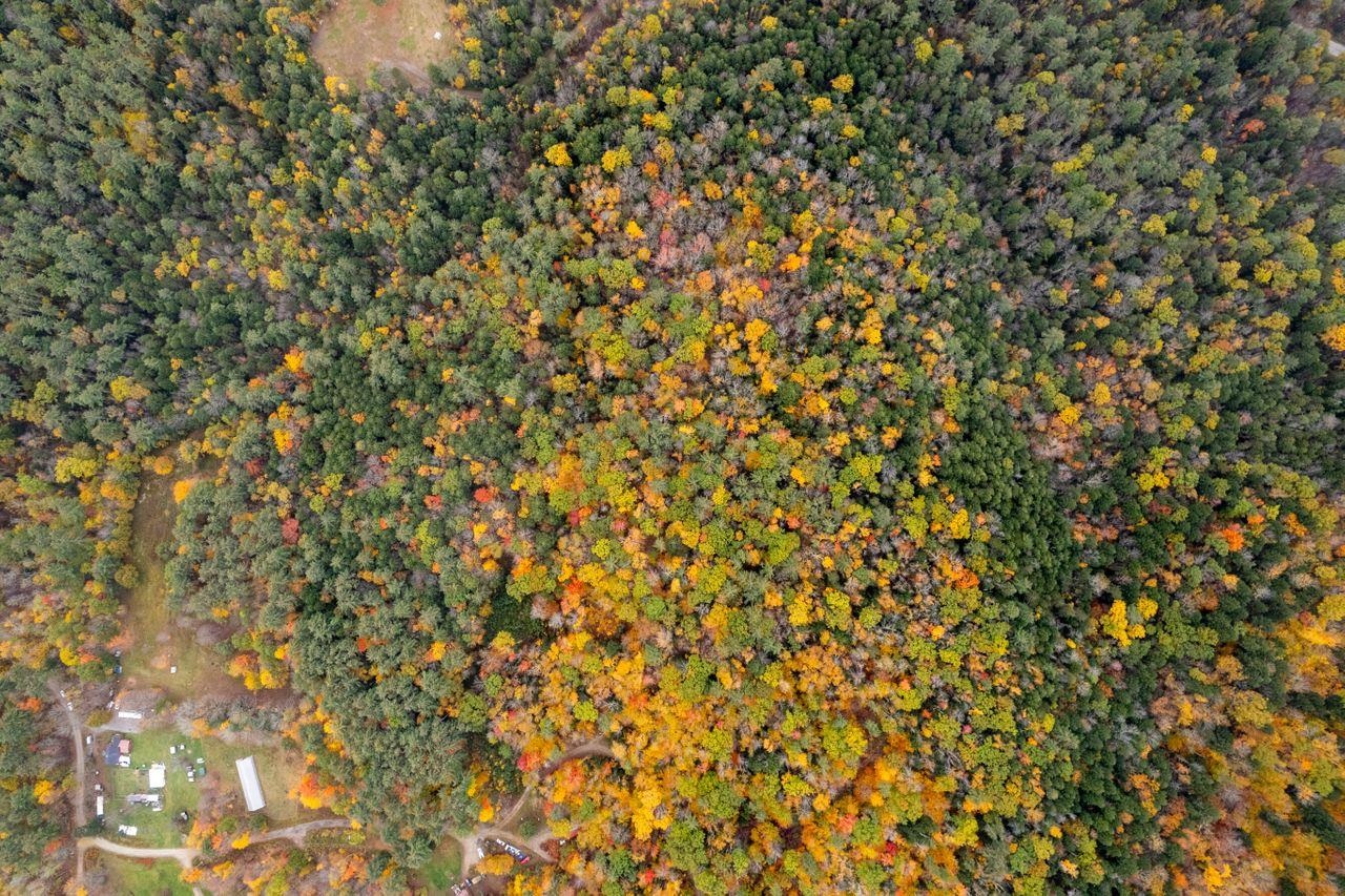 99 Thayer Mountain Road Wentworth, NH 03282 - Photo 8 of 25