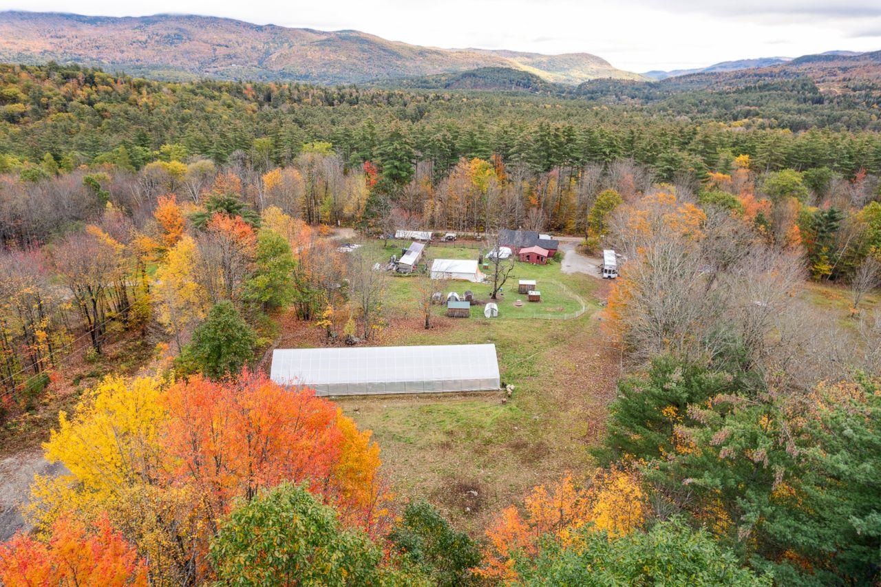 99 Thayer Mountain Road Wentworth, NH 03282 - Photo 10 of 25