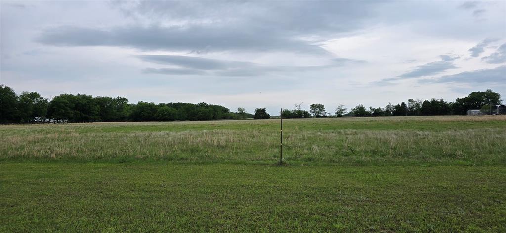 1410 County Road 1235 Point, TX 75472 - Photo 25 of 30 Backyard
