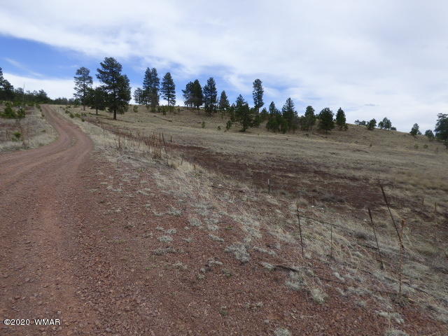 Lot 16 The Ranch Alpine, AZ 85920 - Photo 2 of 25 Lot 16 The Ranch at Alpine (5)