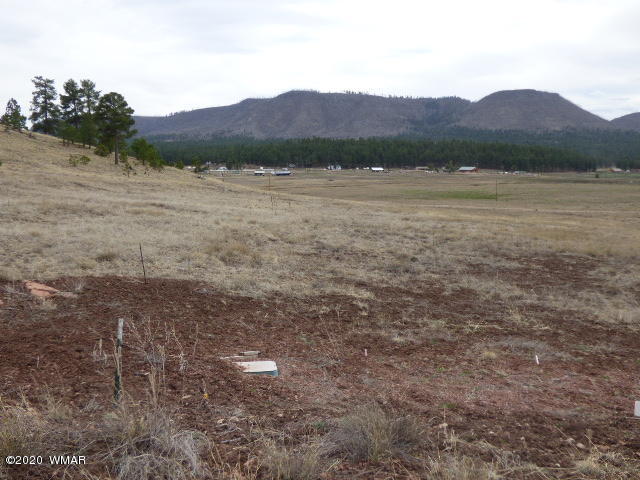 Lot 16 The Ranch Alpine, AZ 85920 - Photo 3 of 25 Lot 16 The Ranch at Alpine (1)
