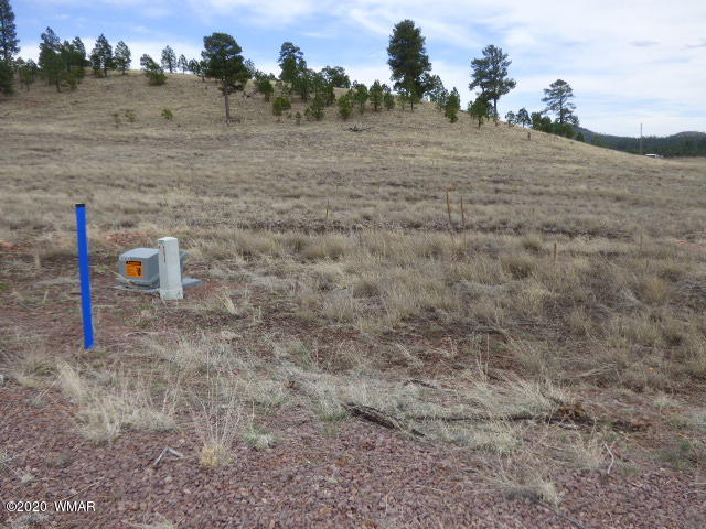 Lot 16 The Ranch Alpine, AZ 85920 - Photo 4 of 25 Lot 16 The Ranch at Alpine (11)