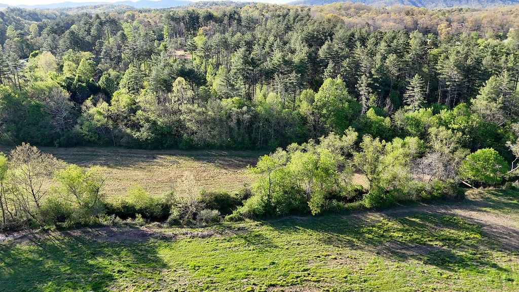 3872 Nc Highway Murphy, NC 28906 - Photo 6 of 19