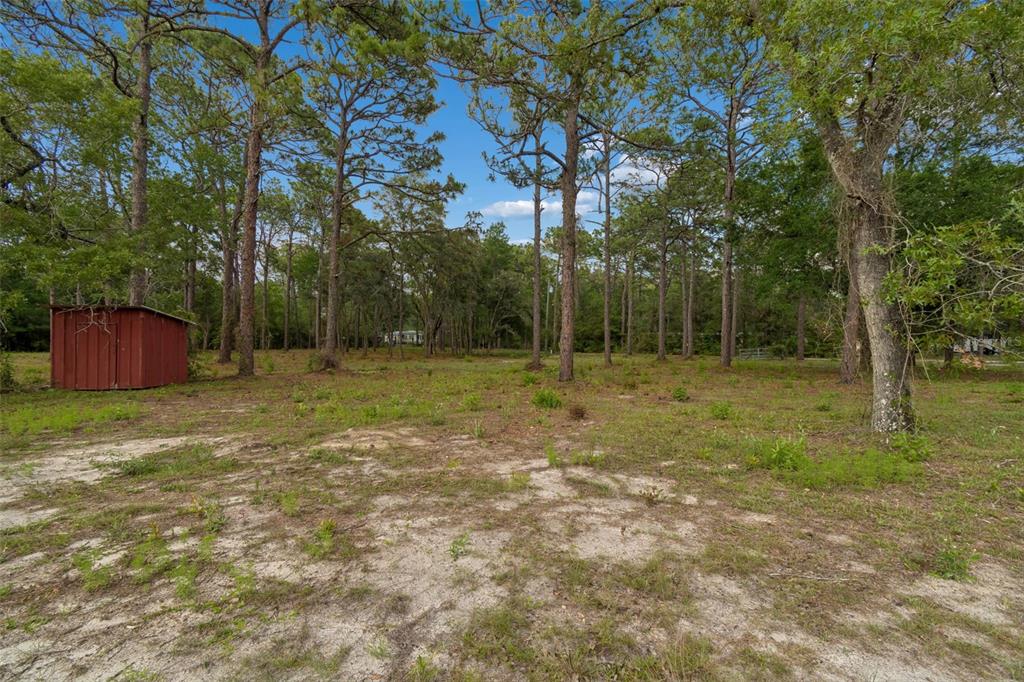 Grove Road Brooksville, FL 34613 - Photo 15 of 26