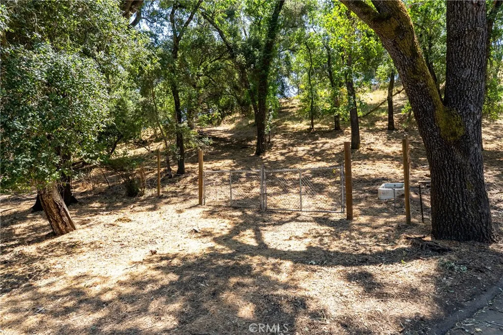 0 Los Gatos Road Atascadero, CA 93422 - Photo 3 of 16 a view of tree