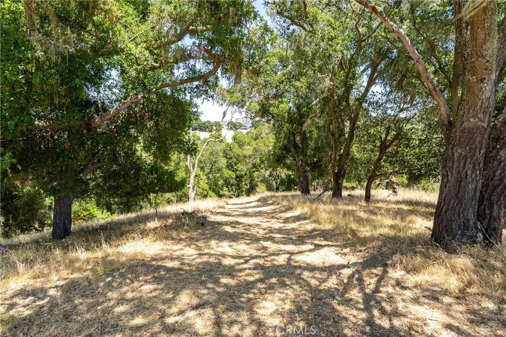 0 Los Gatos Road Atascadero, CA 93422 - Photo 4 of 16 a view of a yard with large trees