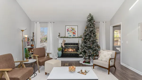 a living room with furniture and a potted plant