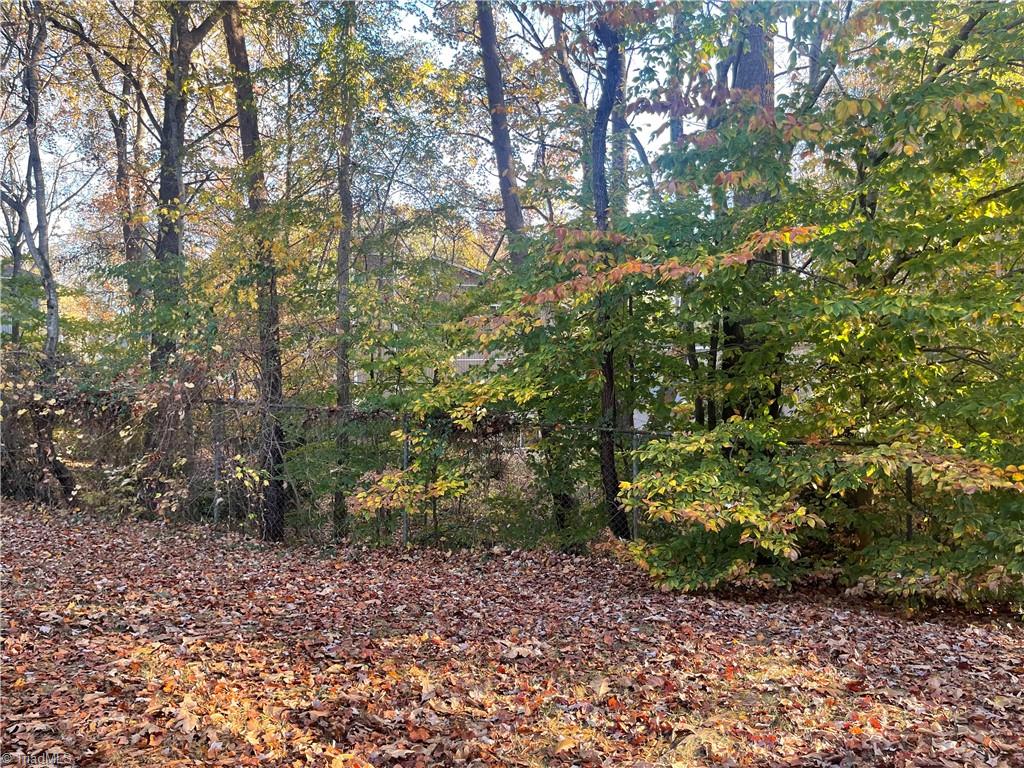 2270 Sunderland Road, Unit 12A Winston-Salem, NC 27103 - Photo 31 of 38 ANOTHER VIEW FROM DECK