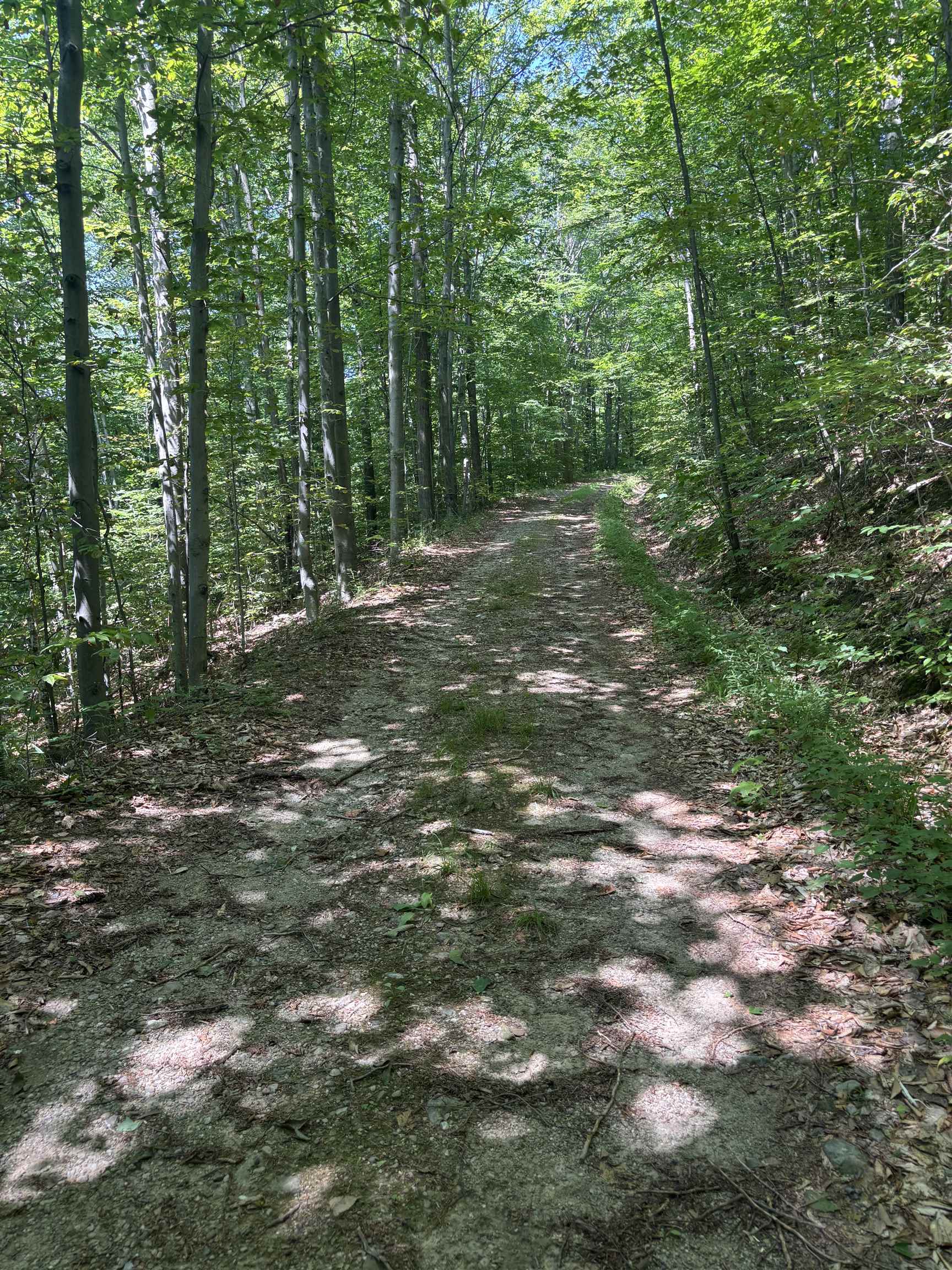 Upper Plains Road Salisbury, VT 05769 - Photo 4 of 9