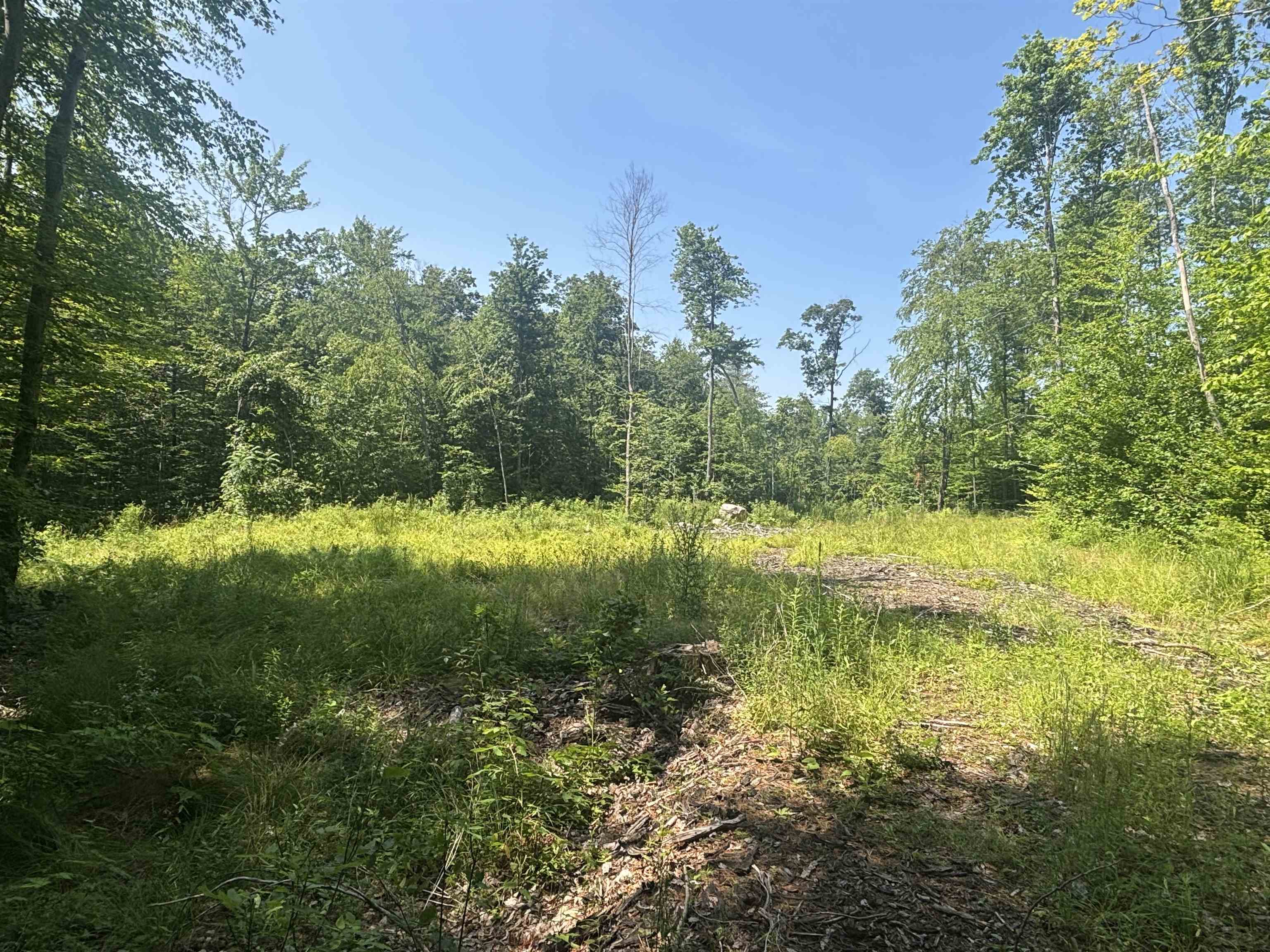 Upper Plains Road Salisbury, VT 05769 - Photo 5 of 9