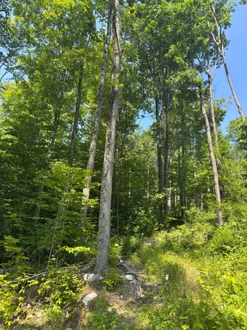 $146,000 | Upper Plains Road, Salisbury, VT 05769