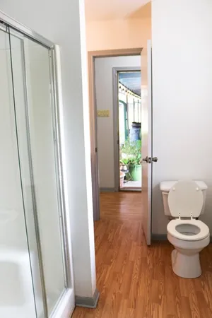 a bathroom with a toilet and a shower