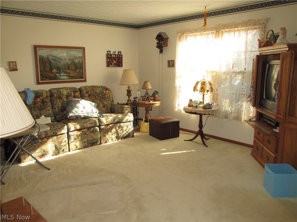 7588 Lafayette Road Lodi, OH 44254 - Photo 9 of 23 Gallery Image 9