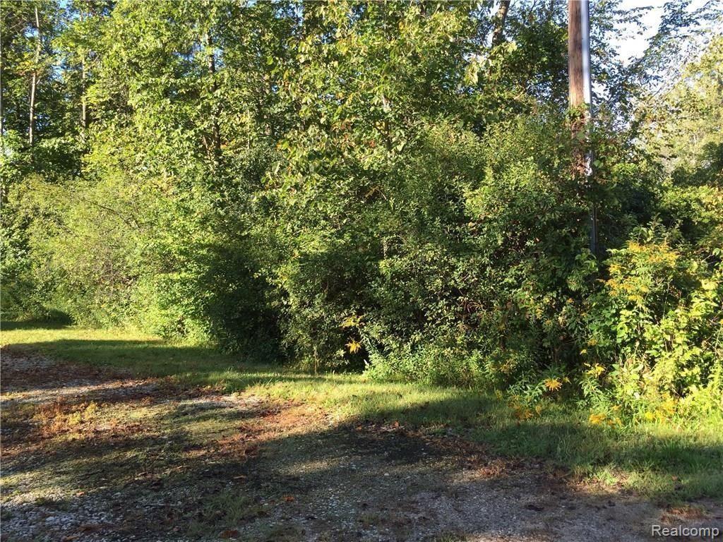 0 Cedar Island Road White Lake, MI 48386 - Photo 4 of 9