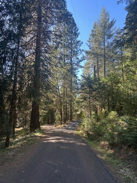 Undisclosed Address Alta, CA 95701 - Photo 2 of 14